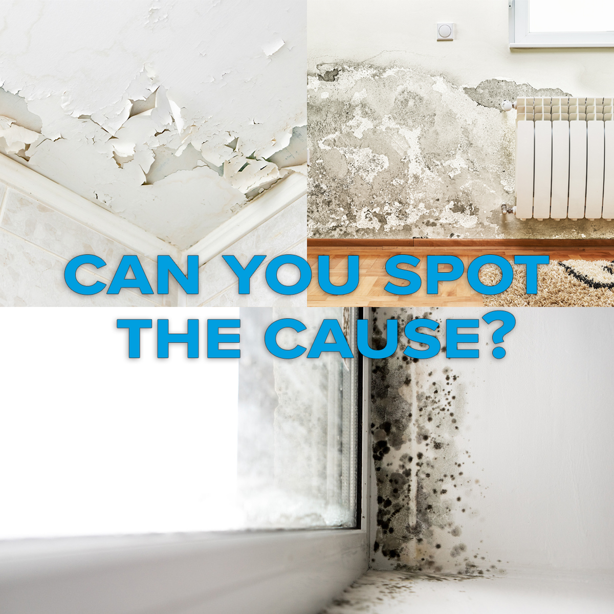 Types Of Damplinkedin