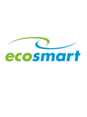 Ecosmart BMS Interfacing