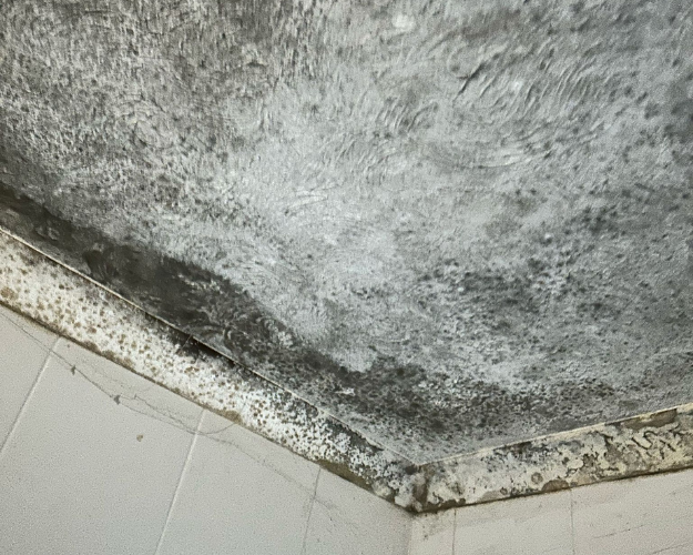 Bathroom Home