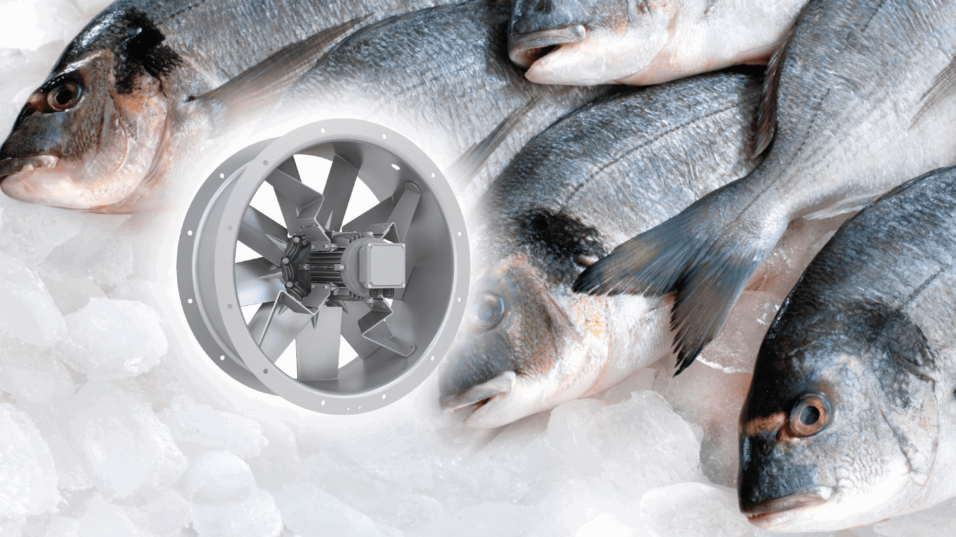 cold storage and freezing fans - OEM Blast Freezing & Refrigeration - Nuaire