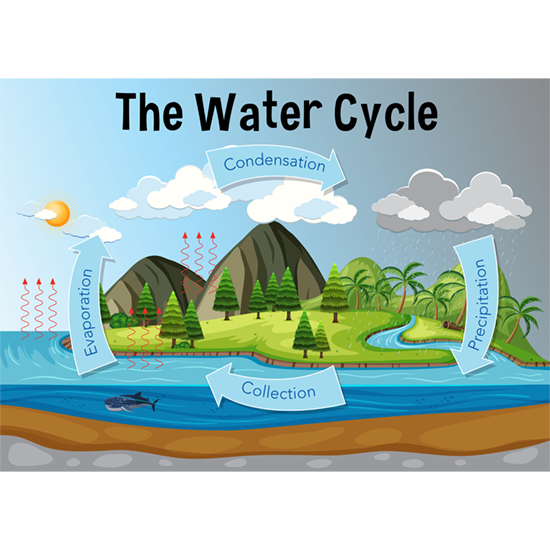 Water Cycle image