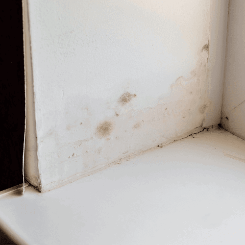 Signs of condensation problems 