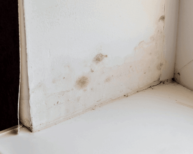 Signs of condensation problems