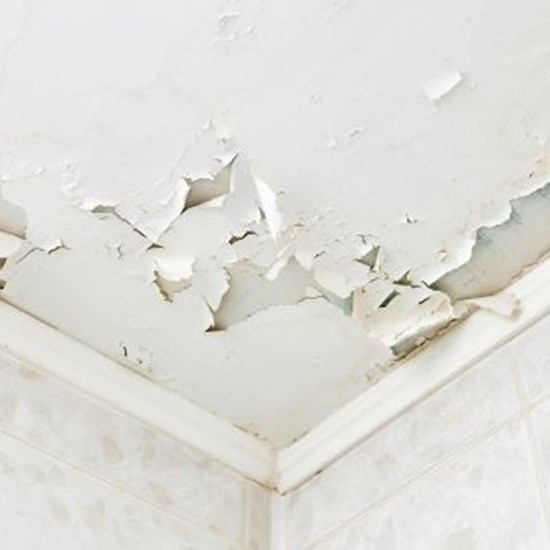 Penetrating Damp image