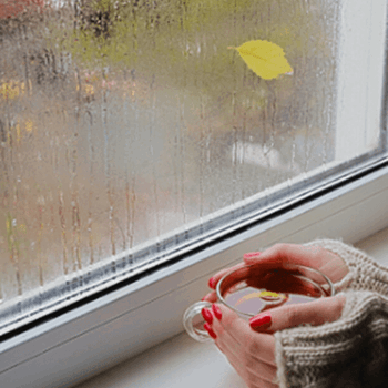Condensation Dampness on window