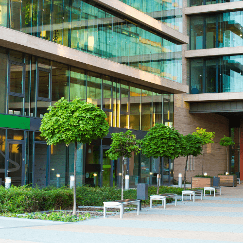 Commercial Building with trees outside