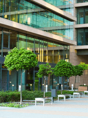 Commercial Building with trees outside