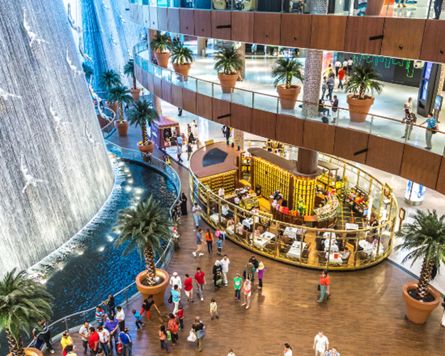 Inside Dubai Mall