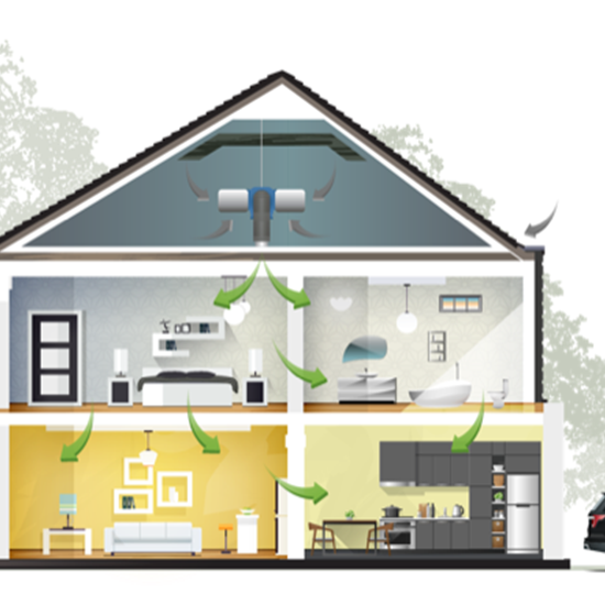 PIV House White Background